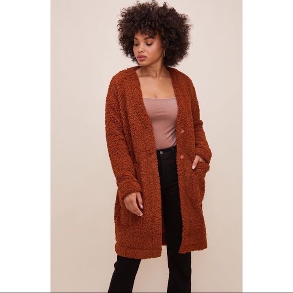 NWT Fauna Coat Rust ASTR The Label $188 Nordstrom - Picture 9 of 14